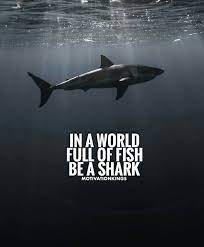 Pin On Words Of Wisdom