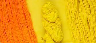 Image result for Sophora velutina