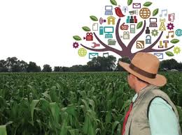 Fitotecnia, economía agrícola, zootecnia o agrícola. Lo Que Debe Saber Un Agronomo Del Marketing Digital Intagri S C
