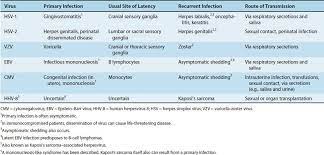 Differential diagnosis between herpes simplex virus (hsv) esophagitis and cytomegalovirus (cmv) esop. Dna Enveloped Viruses Review Of Medical Microbiology And Immunology 13th Edition