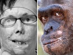 Jane Goodall (1934-) is an English zoologist,primatologist and  anthropologist.She is considered the world's foremost expert