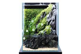 The terrarium tank includes a rock landscape with planting pods, cascading waterfall that provides nutrients to. Enjoy Dooa Aqua Terrarium Feeling Cool From The Combination Of Greenery And Stones News Dooa