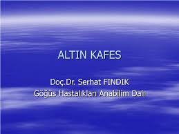 Peki serhat fındık neden gündemde? Ppt Altin Kafes Powerpoint Presentation Free Download Id 6352384
