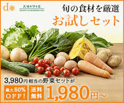 千葉県の食材宅配 野菜通販 有機 無農薬 のおすすめ個人農家 事業者25選まとめ Mealee