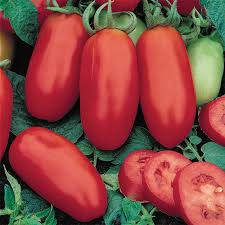 Image result for tomato San Marzano