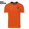 Het nederlands elftal heeft zich eindelijk weer gekwalificeerd voor een groot eind toernooi! 1