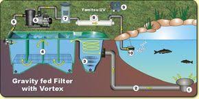 Here you may to know how to build koi pond. 62 Koi Pond Filters Ideas Pond Filters Pond Koi Pond