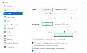 Zoom Audio Not Working: How To Fix The Problem - Ionos