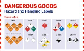 Iata Dgr Posters