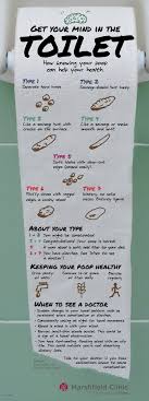 78 Explanatory Poop Chart Poster