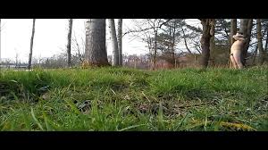 2025 yılında xHamsterda fabiola volkers naakt Full HD 1080p ücretsiz porno  videoları. her gün yeni videolar! | xHamster