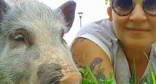 Elvis, maialino domestico, non potrà rimanere con la sua famiglia ma la Asl  rassicura Simona