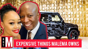 The deputy president will answer questions from mps on government's intervention in the troubled north west province which is currently without a premier. Crazy Expensive Things Julius Malema Spends His Millions On Youtube