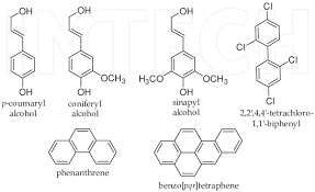 De recalcitrer « résister avec opiniâtreté » (1120); Examples Of Recalcitrant Compounds Biodegraded By Ligninolytic And Download Scientific Diagram