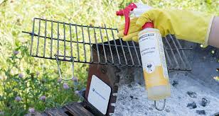 Was tun, wenn der backofen nicht mit einem reinigungssystem ausgestattet ist? Backofen Test Vergleich 2021 á Tuv Zertifiziert