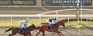 Horse Racing Race Cards And Form Tools Geegeez Co Uk Punting Angles Chelmsford City Racecourse Part 2