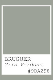 Bruguer Gris Verdoso / #9da298 código de color Hex