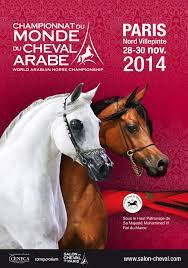 We did not find results for: Le Salon Du Cheval 43e Edition