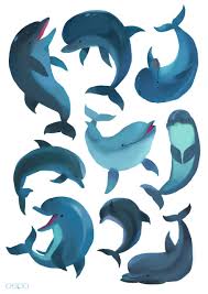 Oseoro Dolphin Art Dolphin Drawing Animal Illustration