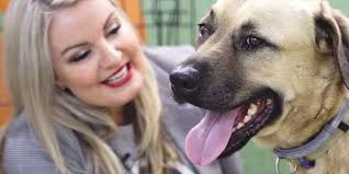 Pet-Friendly Campsites Across Queensland