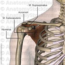 Pin On Massage Opleiding