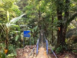 Bukit gasing trekking area or known officially as hutan pendidikan bukit gasing is located off jalan gasing. 12 Beautiful Hiking Trails Around Kl For Everyone To Conquer