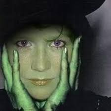 The Love Theorem: An unforgettable STEMinist romance, perfect for fans of  Ali Hazelwood : Isley, Camilla: Amazon.nl: Books