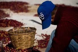 Maybe you would like to learn more about one of these? Mengenal Macam Macam Proses Pengolahan Kopi Majalah Otten Coffee