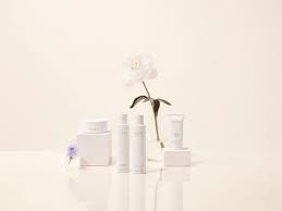 Il Giappone incontra la skincare: il brand Yuzen trasforma la cura della  pelle in un rituale | Vogue Italia
