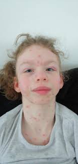 Getting to know Ellen