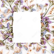 A wide variety of purple dried flowers options are available to you 2021 wholesale real touch hydrangea bouquet flower heads flower hortensias bush purple dried preserved hydrangea bouquet. Empty White Paper Blank On Blue And Purple Dried Flowers Frame Stock Photo Picture And Royalty Free Image Image 76197439