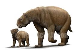 Посмотрите твиты по теме «#diprotodon» в твиттере. Diprotodon By Mauricio Anton Ausgestorbene Tiere Fossilien Tiere