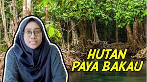 Manakala 12 bakau berkaitan meliputi dungun, rotan bakau dan pakis langsoyar. Hutan Paya Bakau Youtube