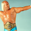 Hulk hogan was the first wwe wrestler to eliminate 10 people in a royal rumble match in 1989. 3