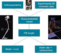 Weekly mileage will interact with a. A New Approach To Iliotibial Band Syndrome In Runners Lower Extremity Review Magazine