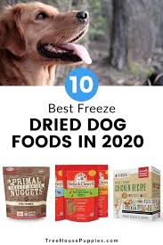 Check spelling or type a new query. 10 Best Freeze Dried Dog Foods 2021 Review Treehousepuppies Freeze Dried Dog Food Dry Dog Food Dog Food Recipes