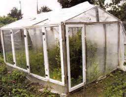 Check spelling or type a new query. Building A Greenhouse Of The Old Window Frames For Seedlings Instructions And Photos