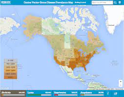 Lyme Disease