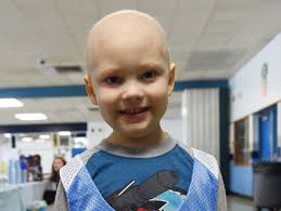 Stephen Haynes Poughkeepsie Journal,