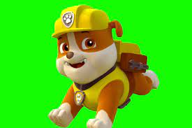 Making Rubble From Paw Patrol Paw Patrol Birthday Paw Patrol Characters Rubble Paw Patrol