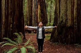 Tripadvisor checks up to 200 sites to help you find the lowest prices. Exploring Redwood National And State Parks The Best Things To Do