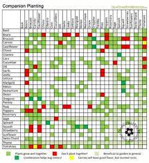 Idep's companion planting guide click here for full pdf. Gardening For Dummies Companion Planting Free Printable Onecreativemommy Com