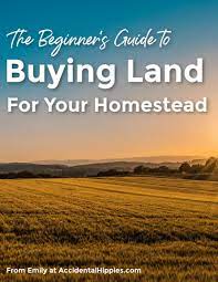 Buying Land 5 Critical Things To Do Before You Purchase How To Buy Land Homestead Land Homesteading