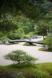 Pin On Jardins I Plantes