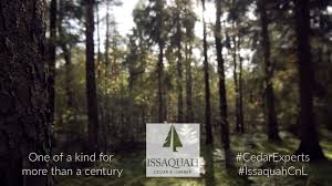 Mythrite trident (level 51 carpenter). Issaquah Cedar Lumber Co Home Facebook