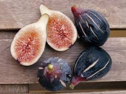 Image result for noire de caromb