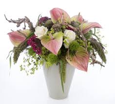Tulips are also one of the easiest flowers to grow in your garden. Meet Marea A Vintage Newcomer Anthura