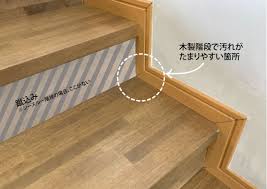 スケルトン 階段 ほこり