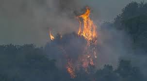 2 days ago · sardegna, incendio nell'oristanese non ancora domato: Qhppvkto4bonum