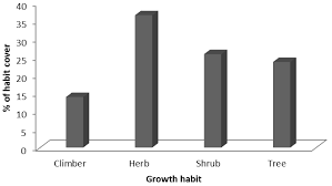 Image result for Vernonia ituriensis